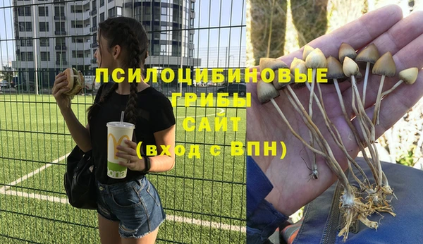 а пвп мука Алзамай