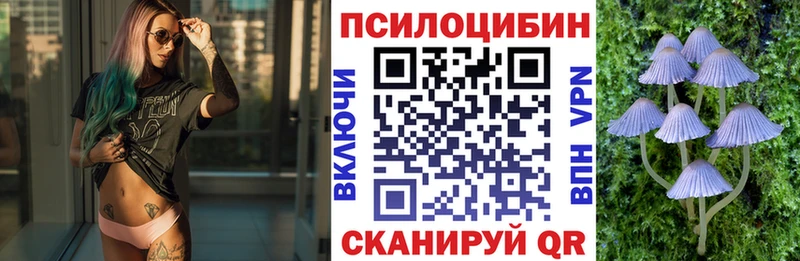 Псилоцибиновые грибы Psilocybine cubensis  Чухлома 